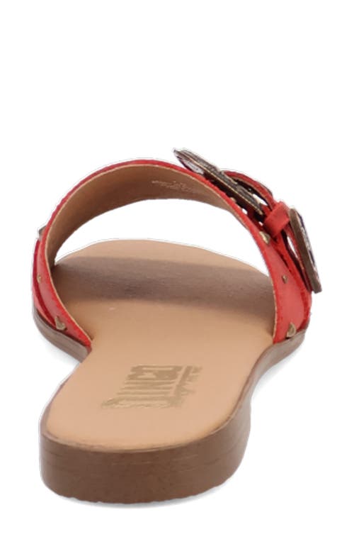 Dingo Lariat Slide Sandal