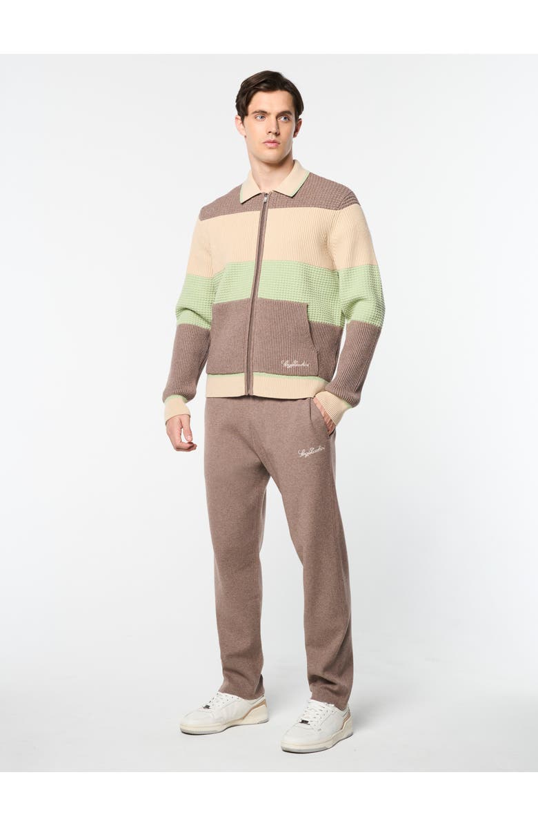 Sergio Tacchini Enzo Striped Track Jacket, Alternate, color, Taupe Grey