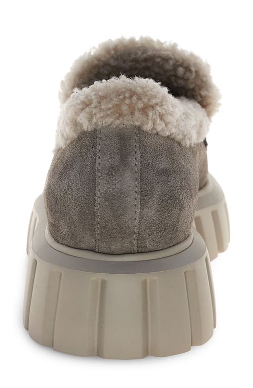 Voile Blanche Grenelle Genuine Shearling Platform Loafer In Gray