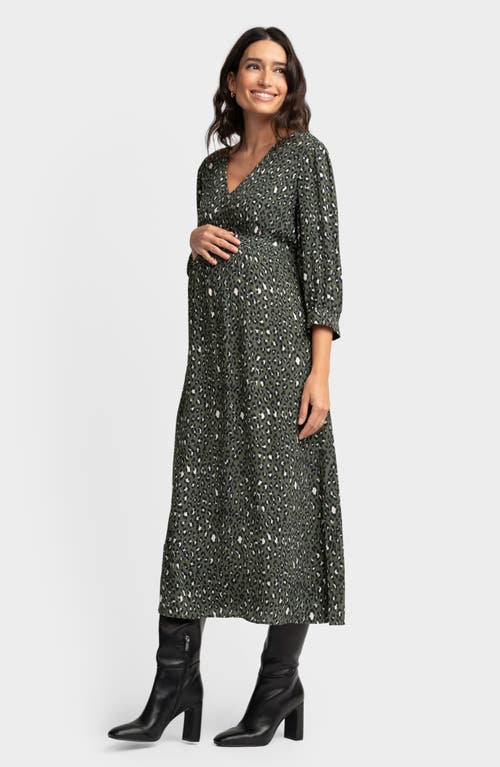 Seraphine Leopard Print Maternity Midi Dress In Multi Black