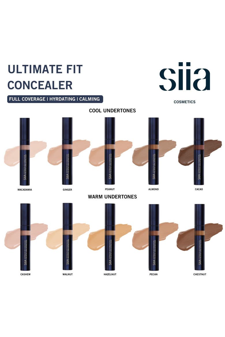 Ultimate Fit Concealer, Alternate, color, CHESTNUT