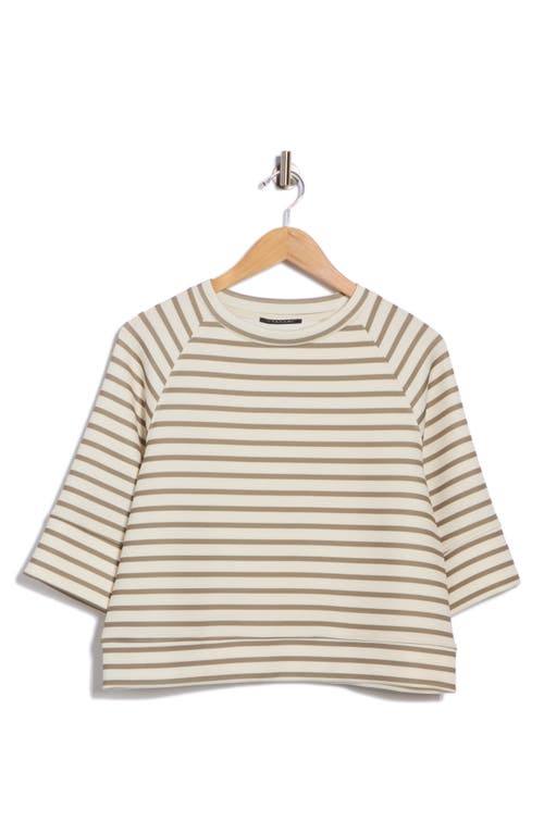 T Tahari Scuba Knit Sweatshirt In White