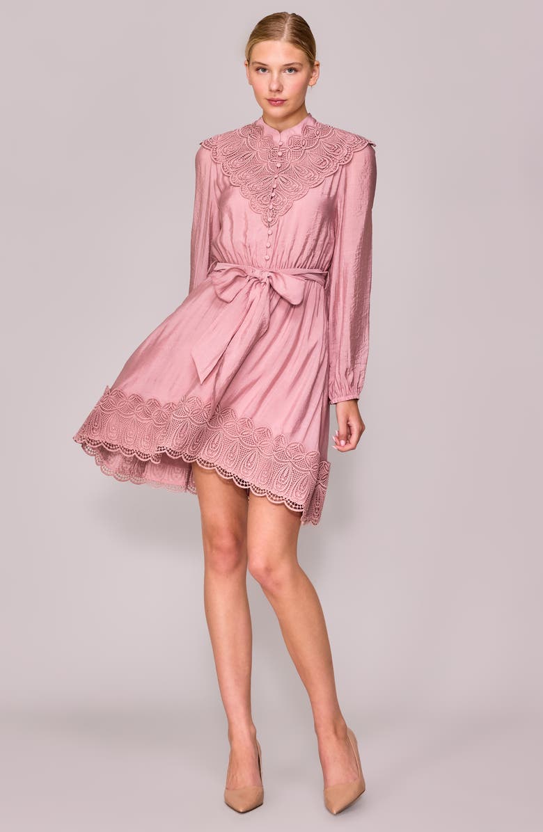 MELLODAY Long Sleeve Lace Trim Dress, Alternate, color, 