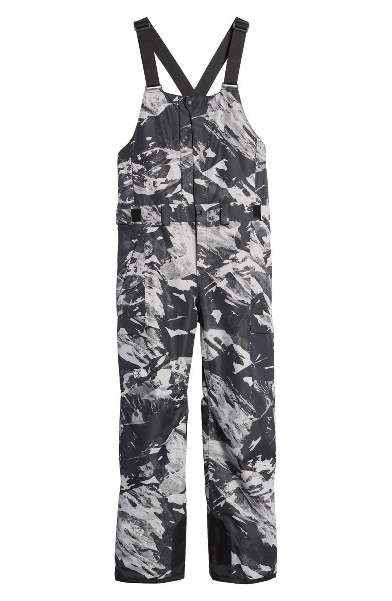 The North Face Freedom Waterproof Snow Bibs, Alternate, color, 