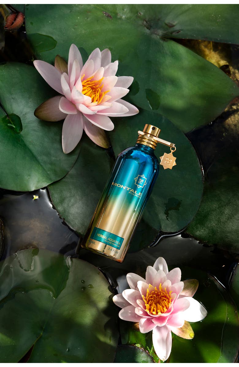 Montale Paris Herbal Aquatica Eau de Parfum, Alternate, color, 