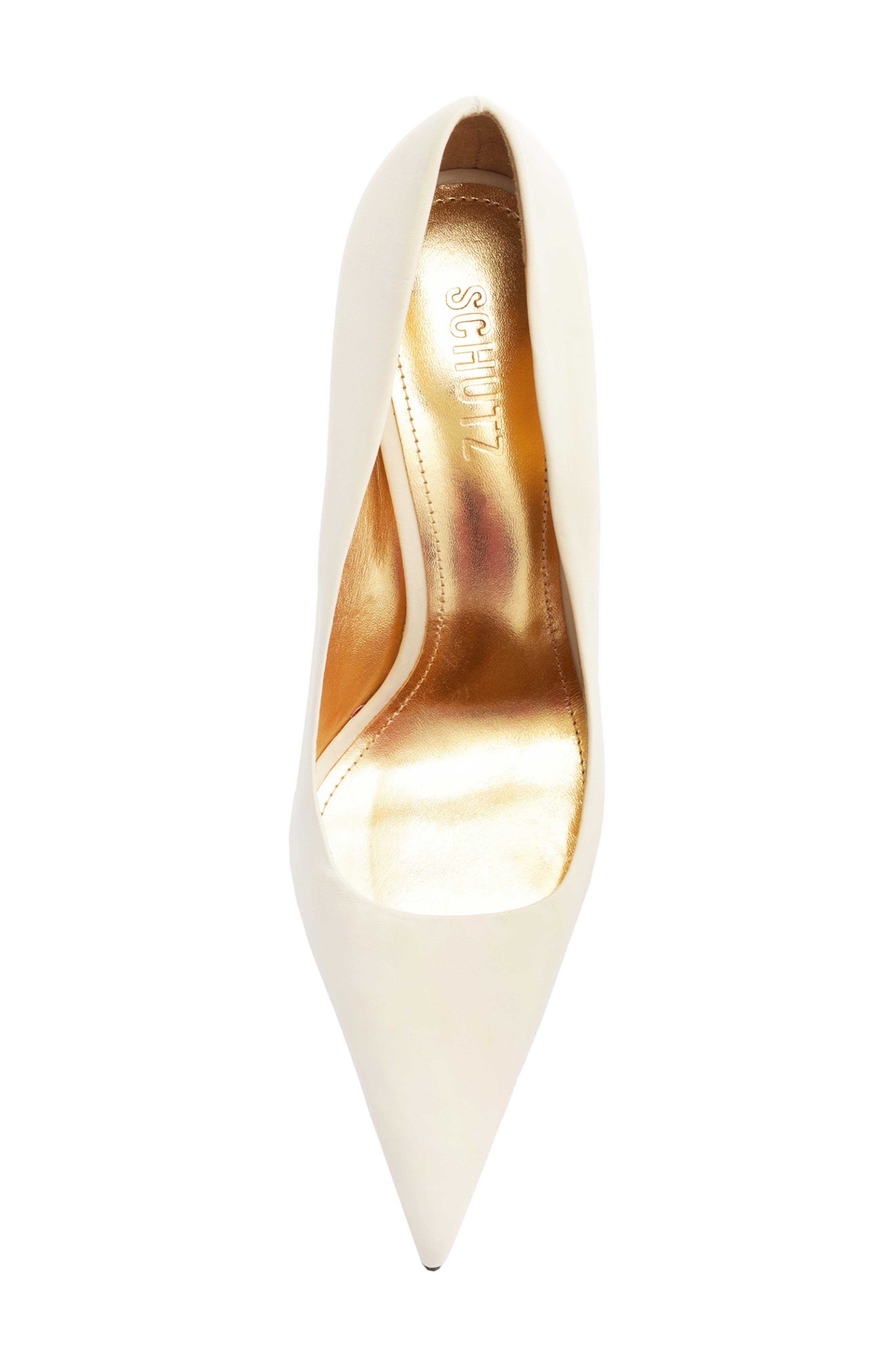Schutz Firenze Pointed Toe Pump, Alternate, color, 