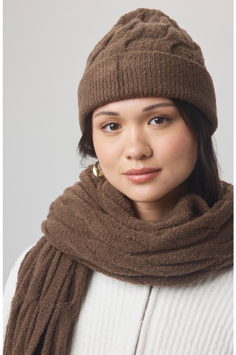 x @cellajaneblog Cable Beanie, Alternate, color, TRUFFLE BROWN