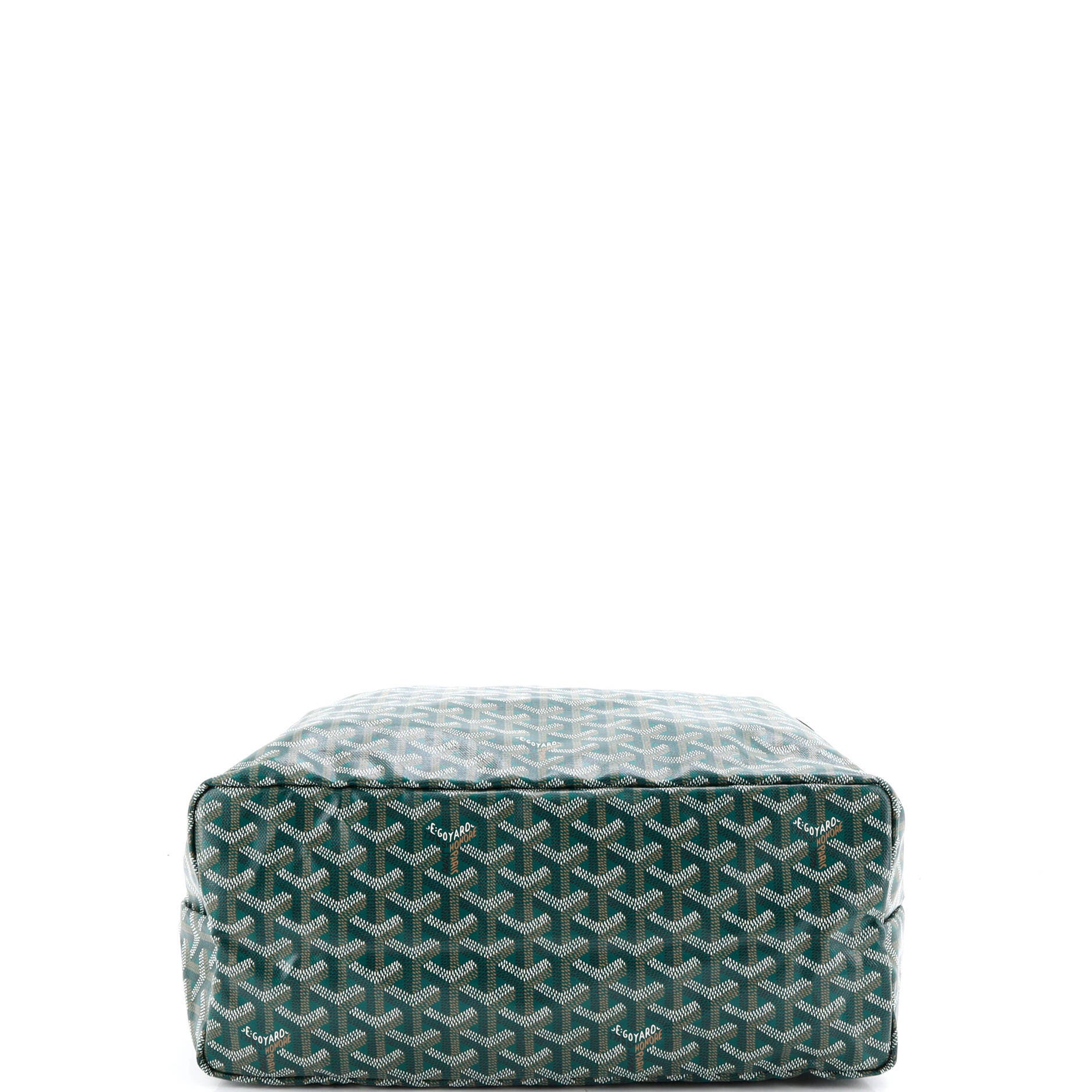 Saint Louis Tote Coated Canvas PM, Alternate, color, Green