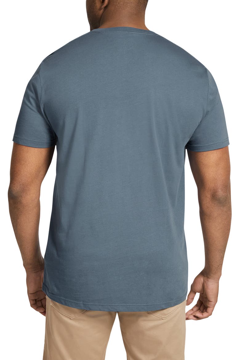 Essential Organic Cotton V-Neck T-Shirt, Alternate, color, DENIM BLUE