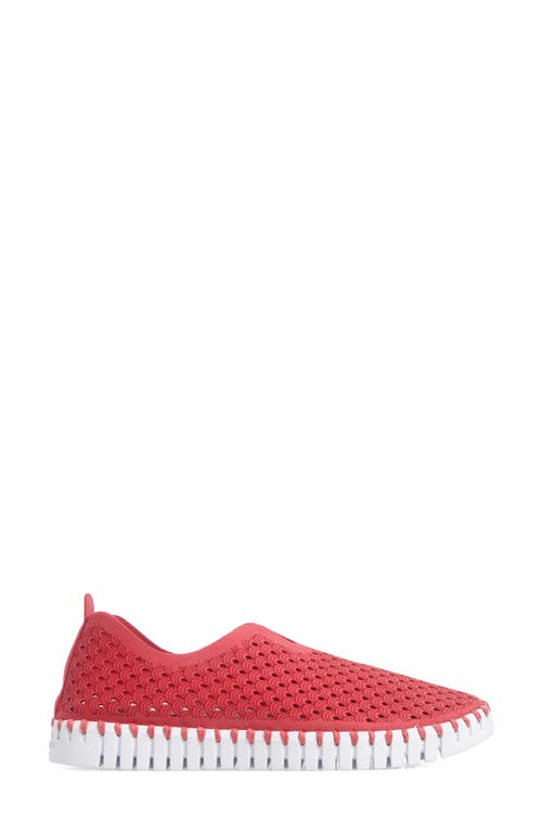 Ilse Jacobsen Tulip 139 Perforated Slip-on Sneaker In Viva Magenta