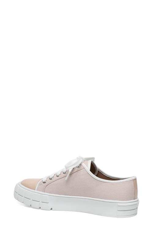 Shop Linea Paolo Kalaia Platform Sneaker In Pink/lotus