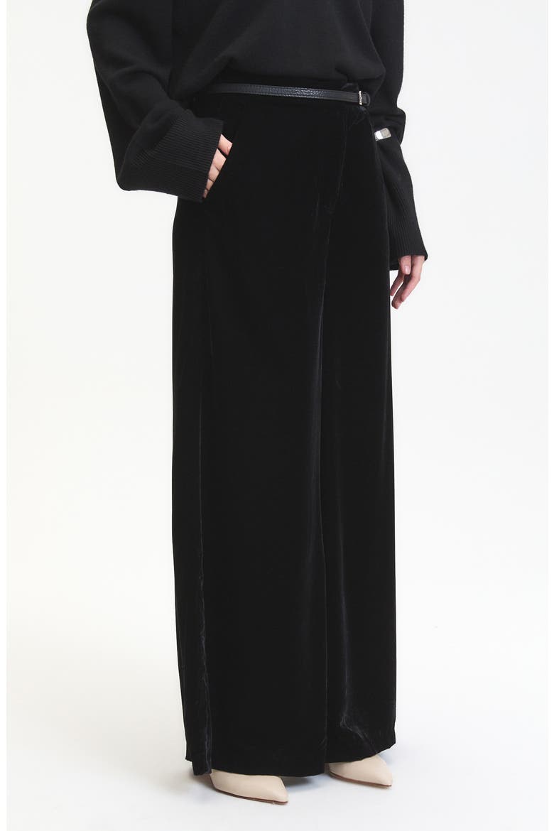 Daisy Velvet Wide Leg Pants, Alternate, color, BLACK