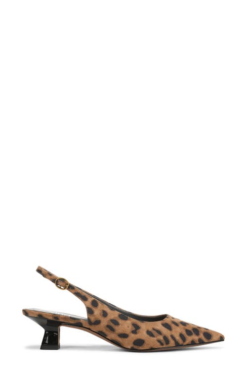 Franco Sarto Jaden Pointed Toe Slingback Pump In Multi