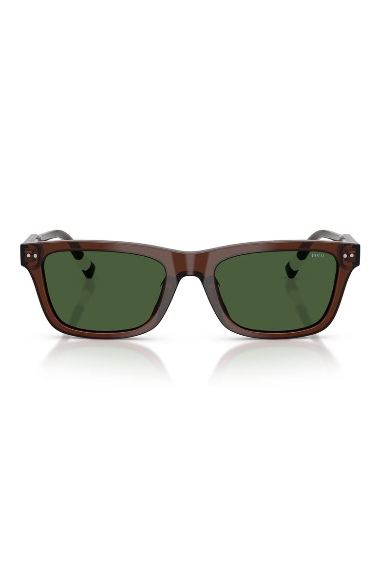 54mm Phantos Sunglasses, Main, color, TRANSPARENT BROWN / GREEN