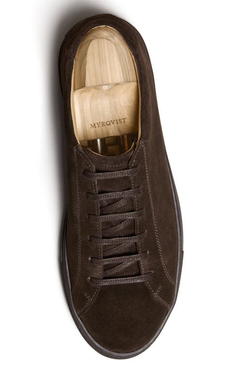 Myrqvist Oaxen Ii Sneakers In Brown