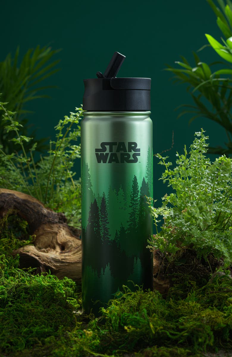 JoyJolt Star Wars Endor 22-Ounce Stainless Steel Water Bottle, Alternate, color, Green