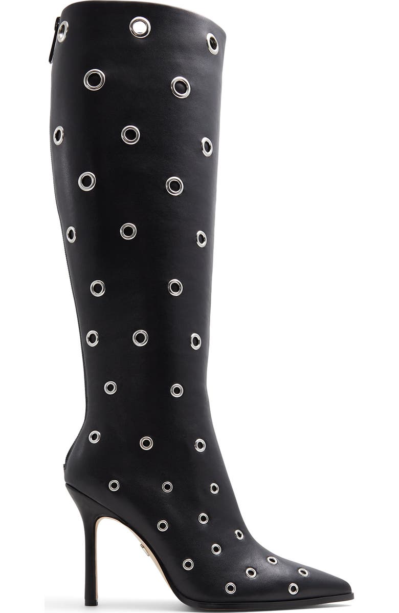 ALDO Maybellie Pointed Toe Knee High Boot, Alternate, color,