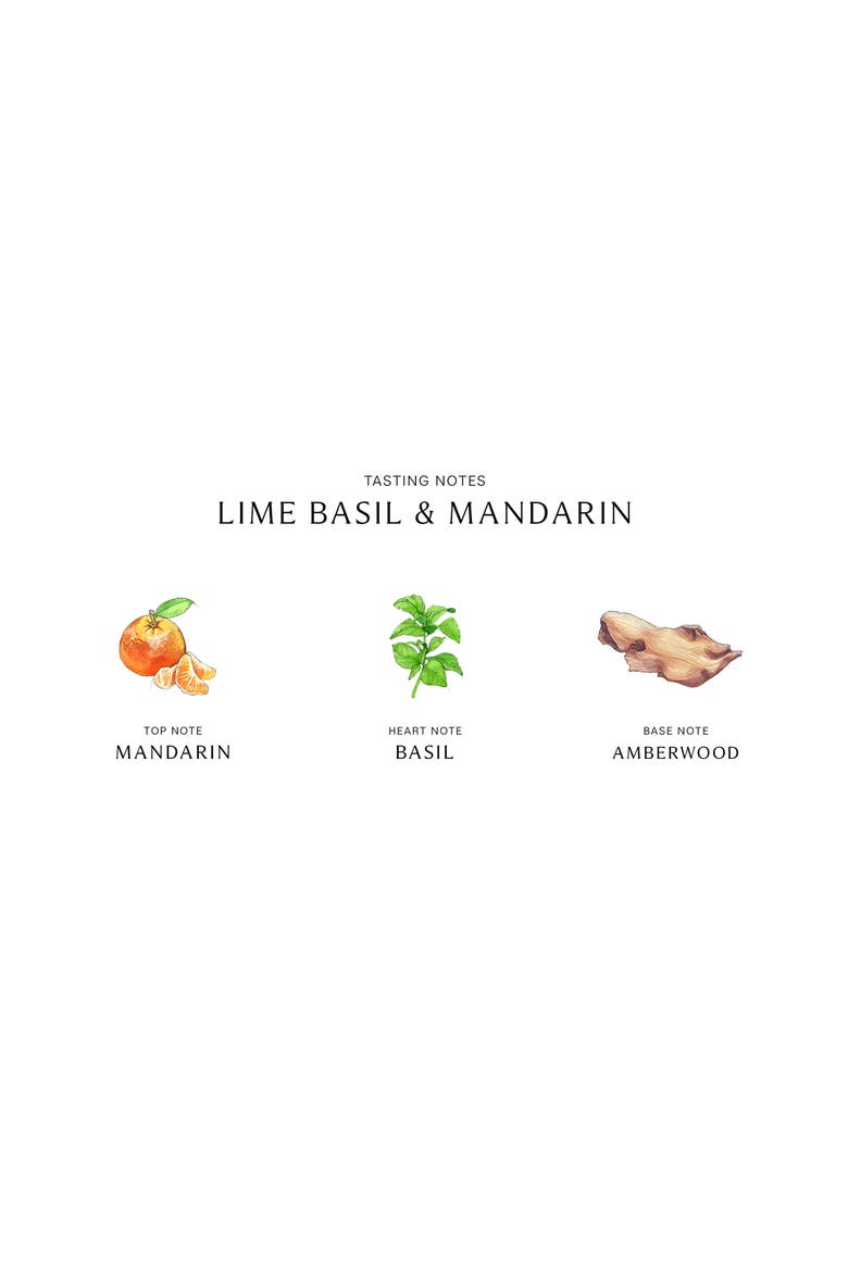 Lime Basil & Mandarin Diffuser, Alternate, color, NO COLOR