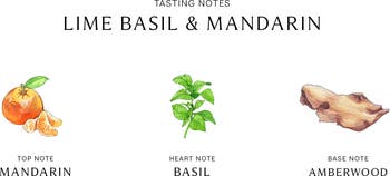 Lime Basil & Mandarin Cologne