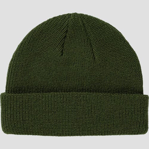 Backcountry Capra Rolled Beanie In Green