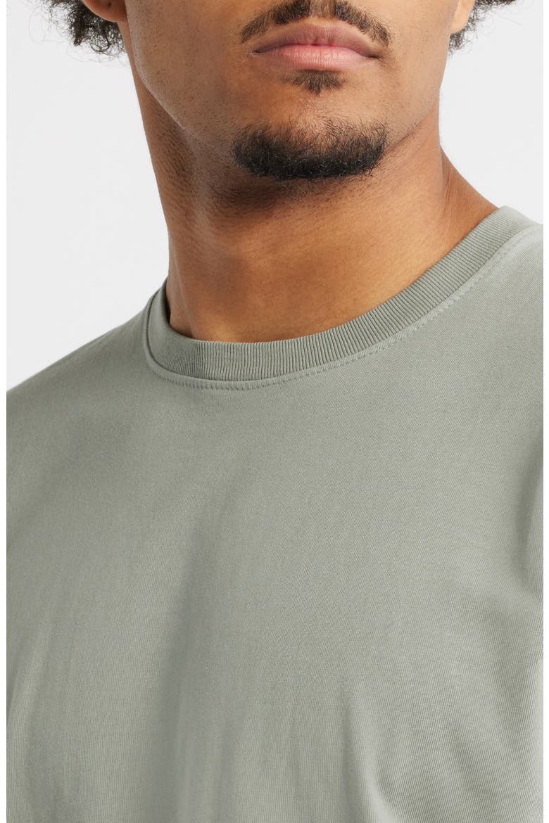 Standard Cotton T-Shirt, Alternate, color, CONCRETE