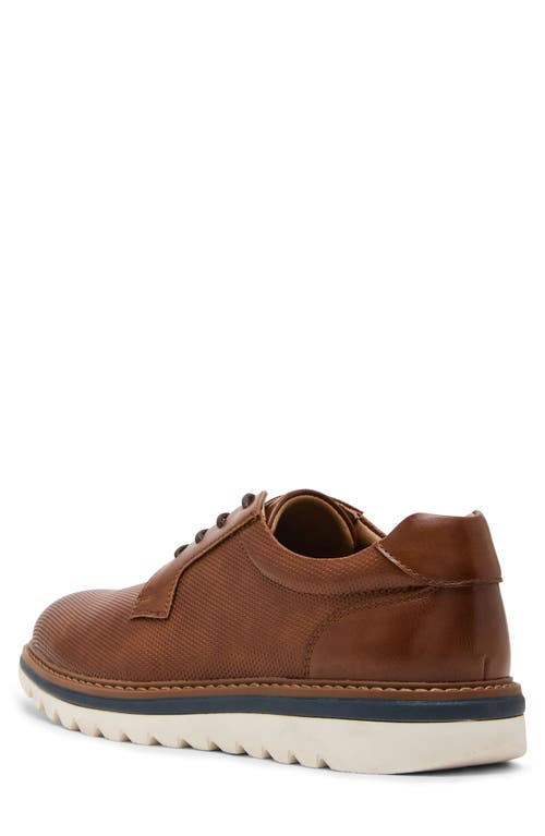 Steve Madden Sorrin Derby Sneaker In Brown