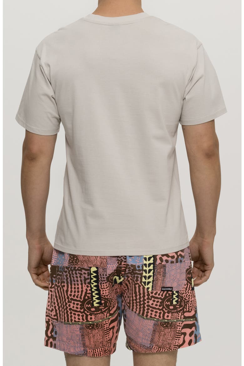 Flying Disc Cotton Graphic T-Shirt, Alternate, color, CEMENT