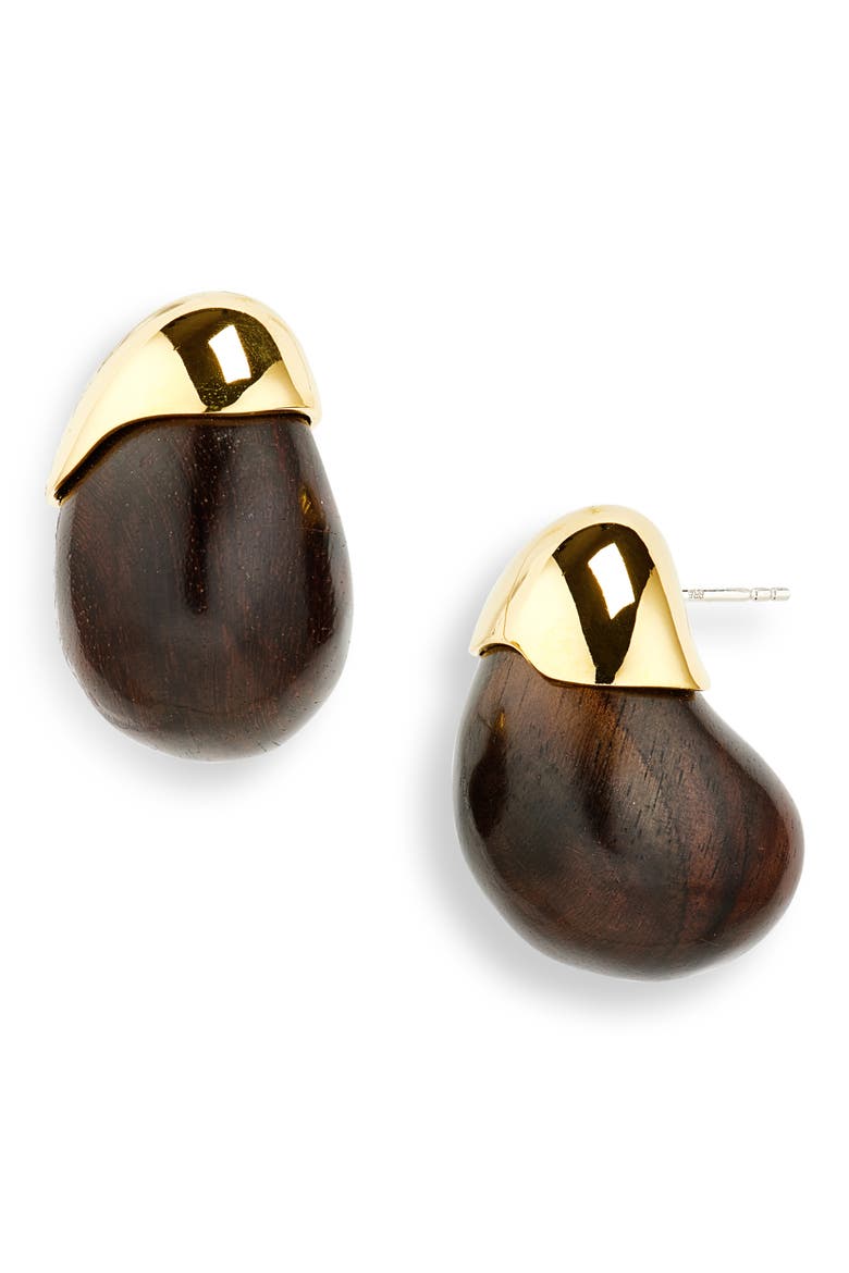 Toro Earrings, Main, color, BROWN