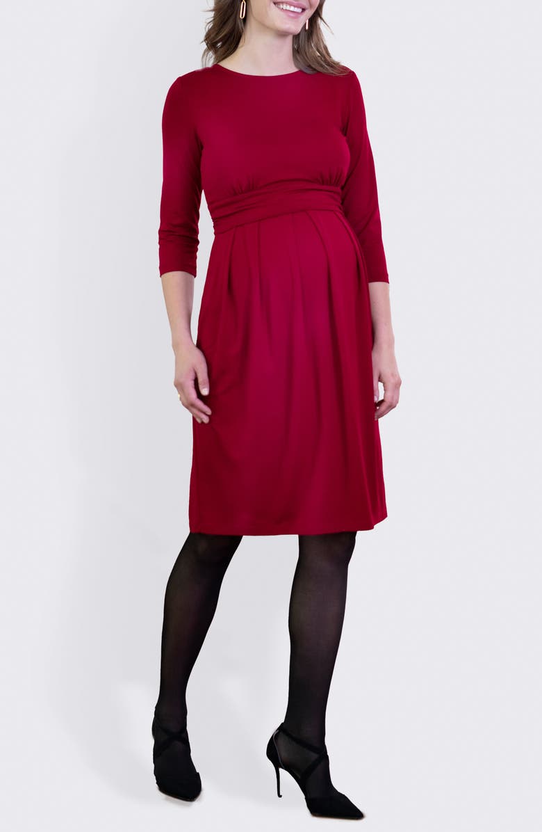 Seraphine Pleated Waist Maternity/Nursing Dress, Main, color, 