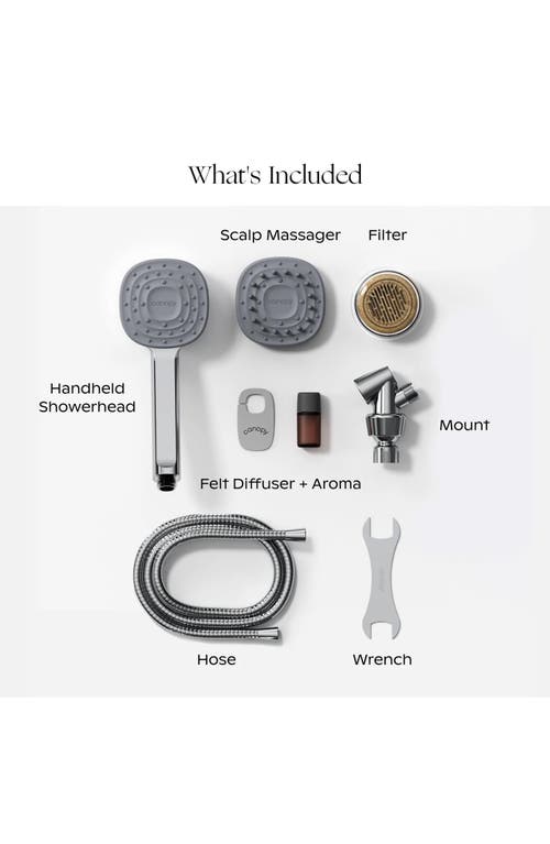 Canopy Filtered Handheld Showerhead In Silver