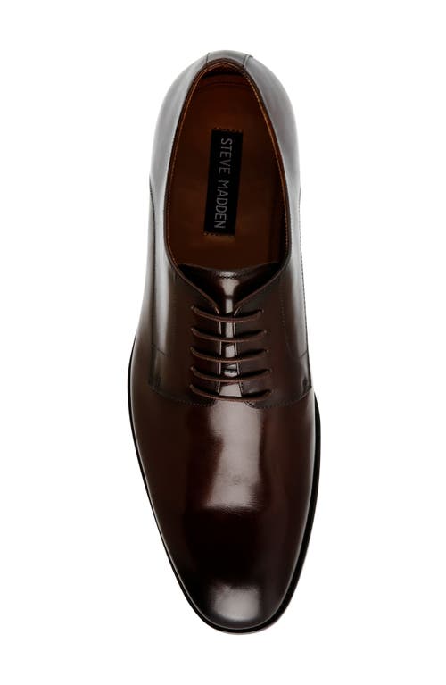 Steve Madden Daedric Derby In Brown