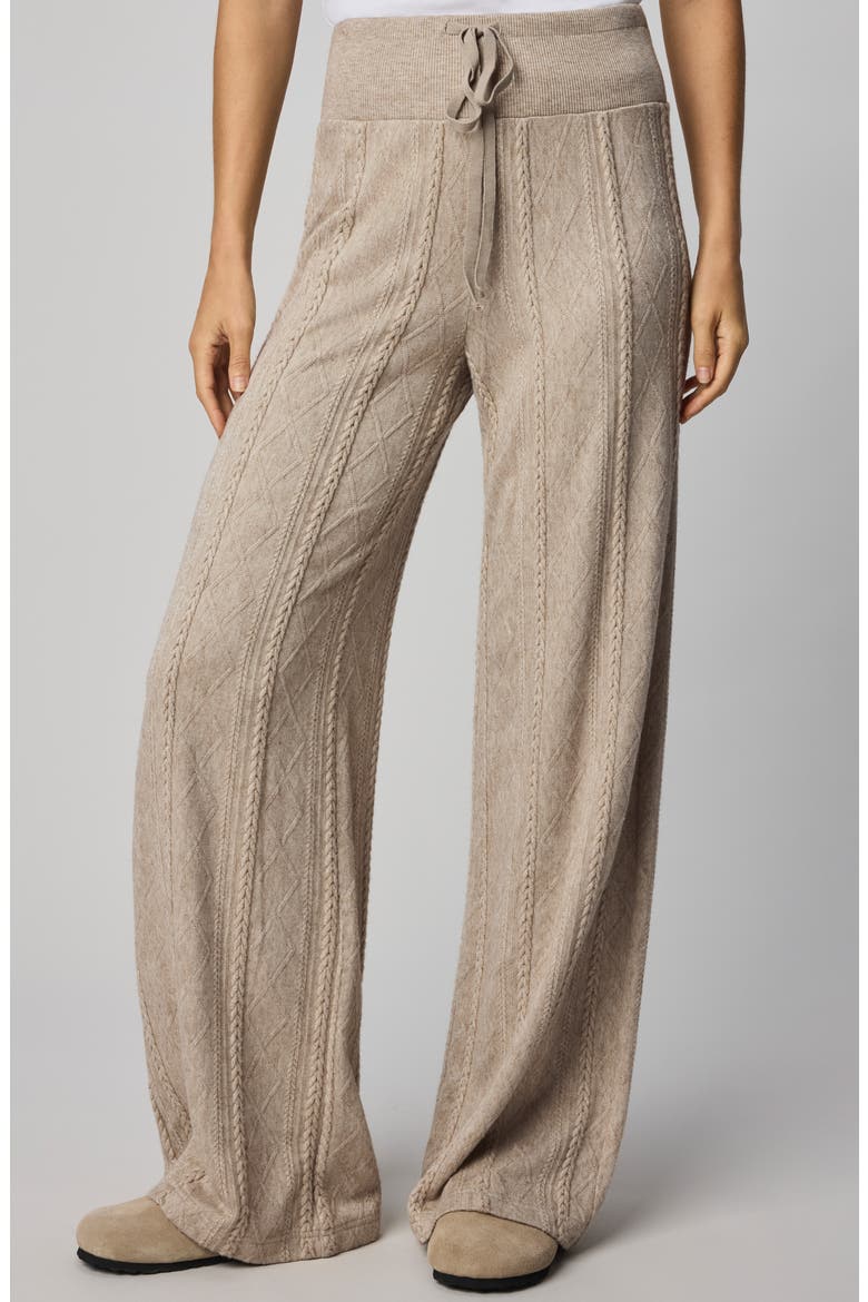 Cable Drawstring Wide Leg Pants, Main, color, CAPPUCCINO HEATHER BEIGE