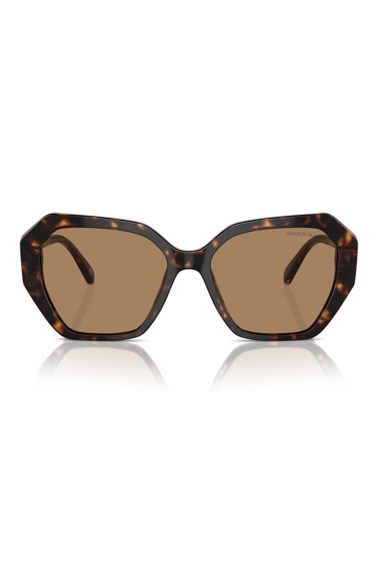 56mm Constella Round Sunglasses, Main, color, DARK HAVANA