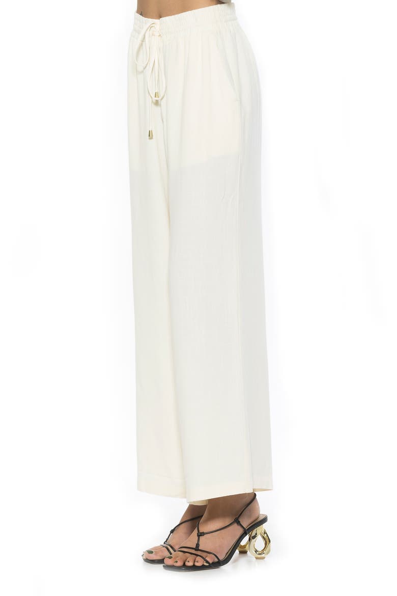 Xila Wide Leg Pants, Alternate, color, IVORY