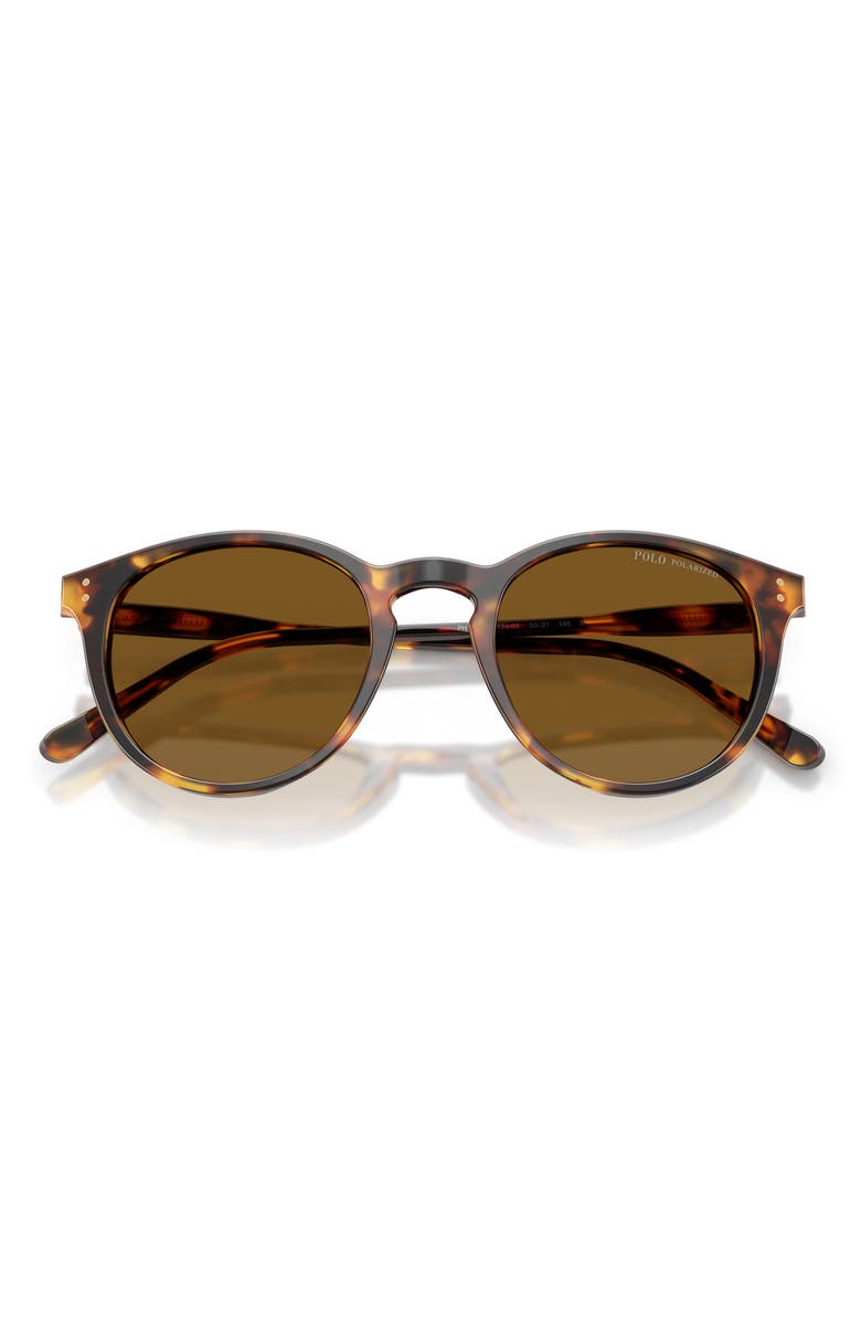 Polo Ralph Lauren 50mm Polarized Phantos Sunglasses, Alternate, color, Shiny Antique Havana / Brown