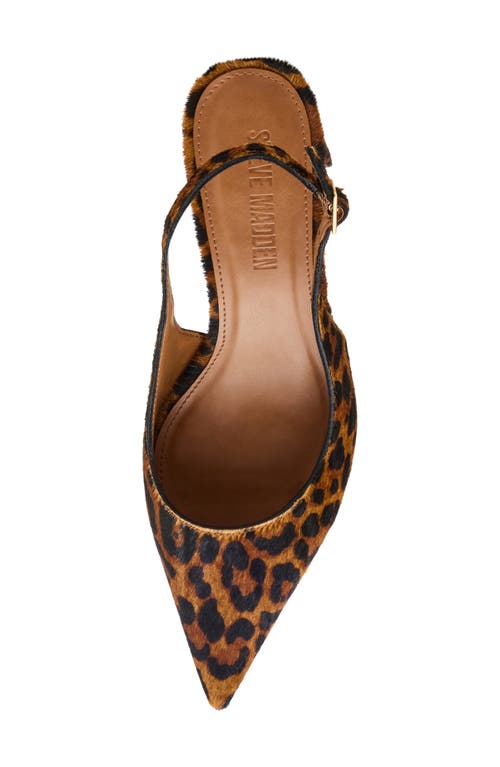 Steve Madden Robyn Pointed Toe Slingback Pump In Brown