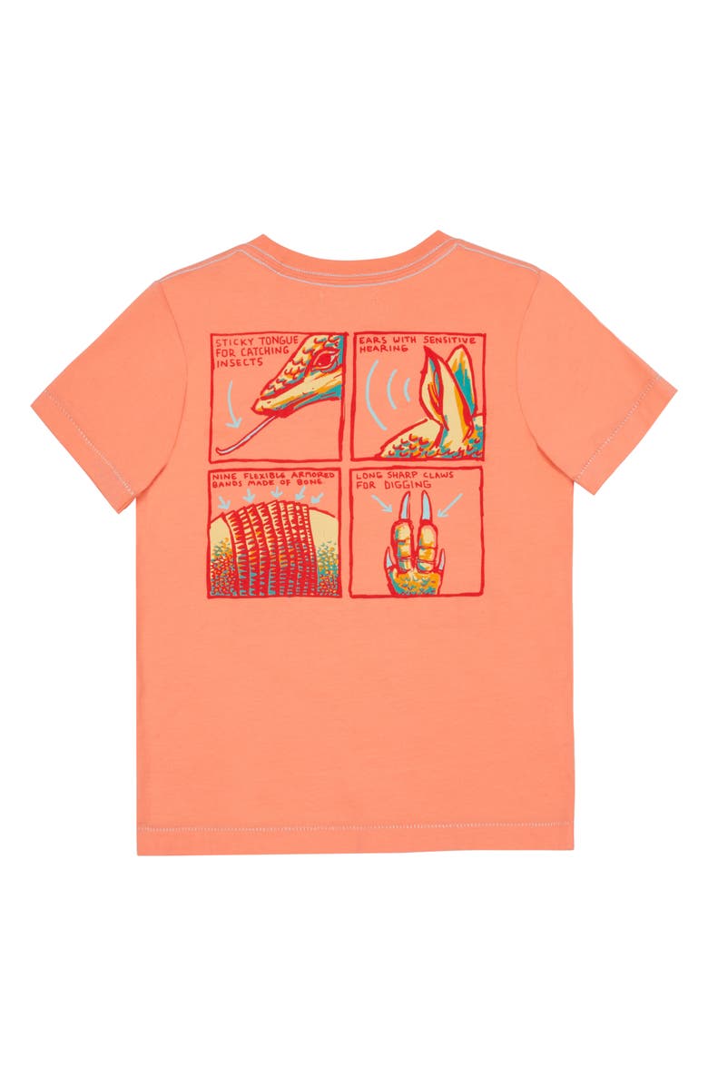 Peek Aren't You Curious Graphic Tee, Alternate, color,