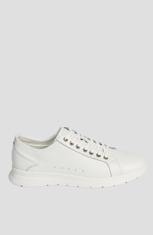 James O'regan Venom Sneaker In White