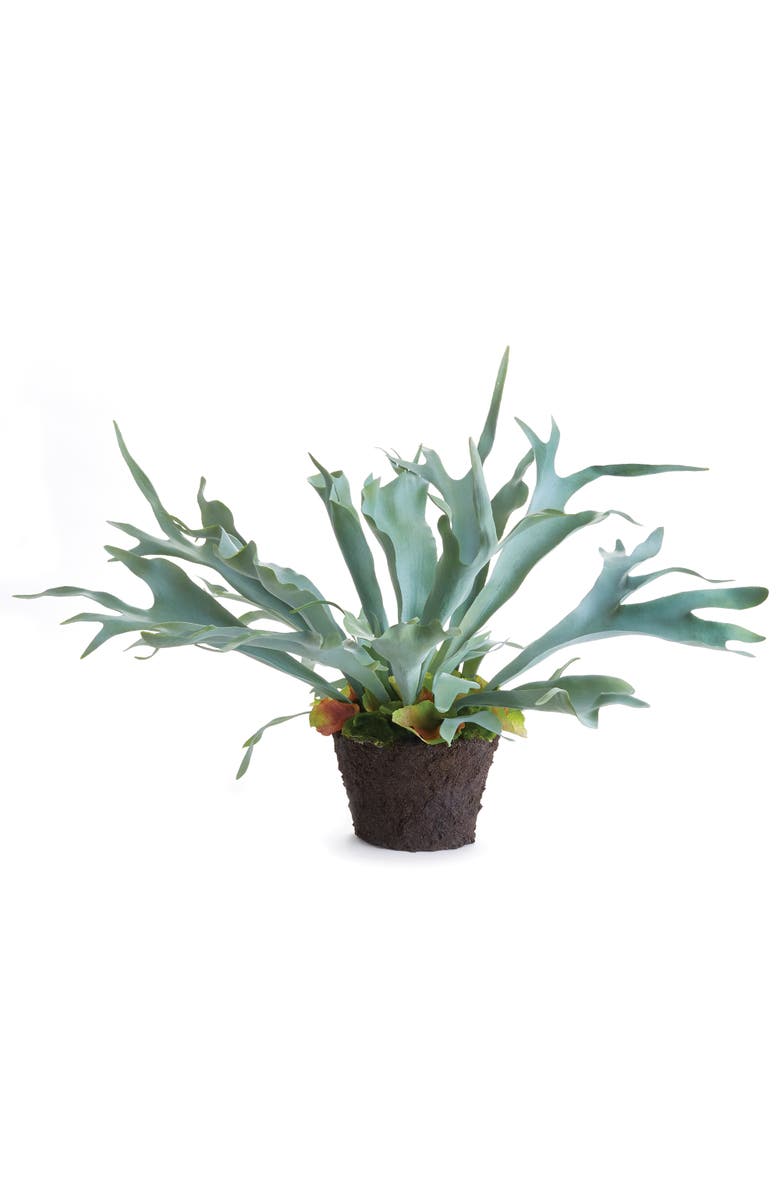 Napa Home & Garden Staghorn Fern Drop-In 21", Main, color, 