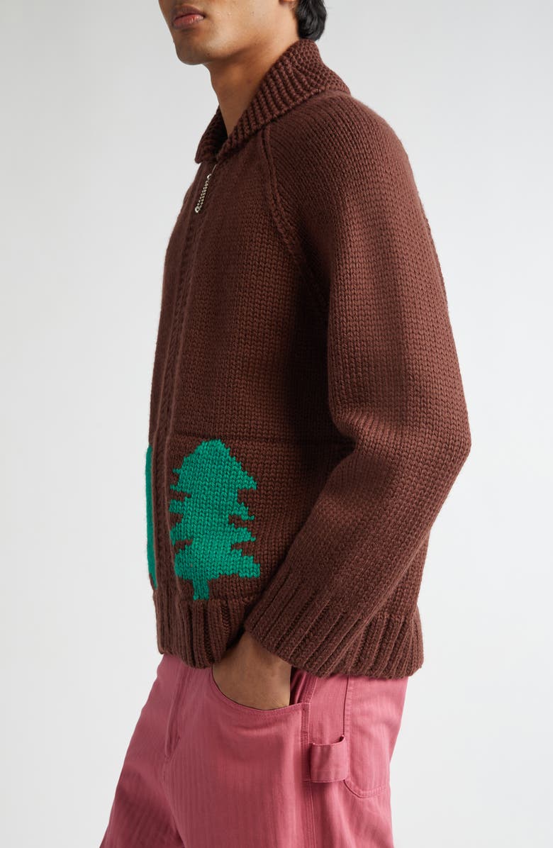 Bode Fir Shawl Collar Wool Zip Cardigan, Alternate, color, Brown