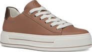 ara Carol Sneaker