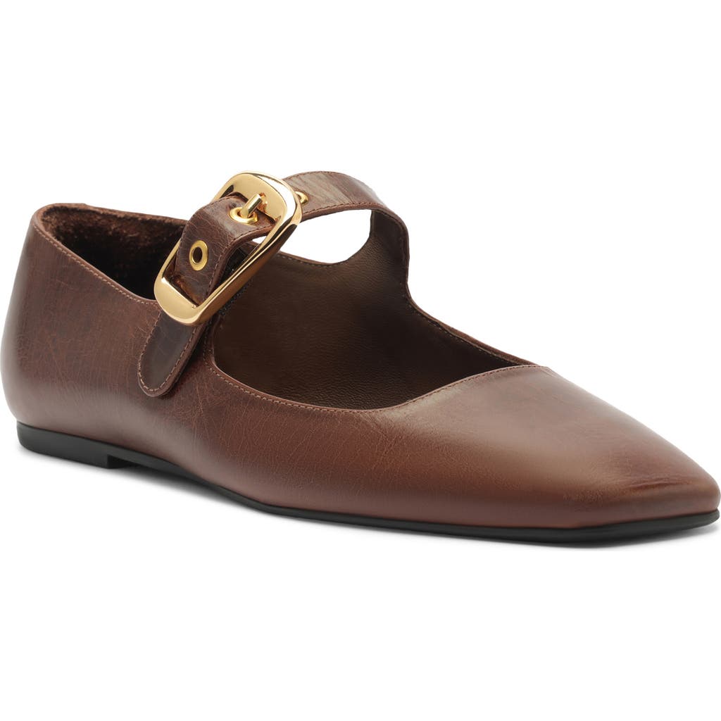 Arezzo Elena Ballet Flat In Brown
