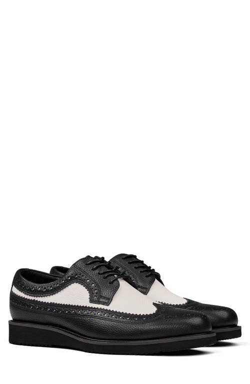 MARC NOLAN MARC NOLAN ALEXANDER WINGTIP DERBY 