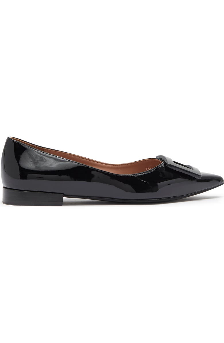Linea Paolo Nessa Pointed Toe Flat, Alternate, color,