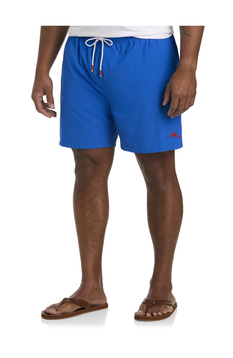 Tommy Bahama Big & Tall Naples Bay Swim Trunks, Main, color, 