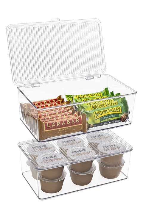 Medium 2-Pack Storage Bins with Lids