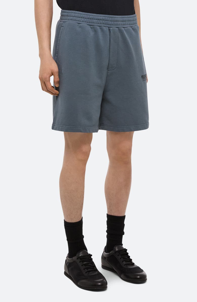 Helmut Lang Capsule Shorts, Alternate, color, Slate Blue