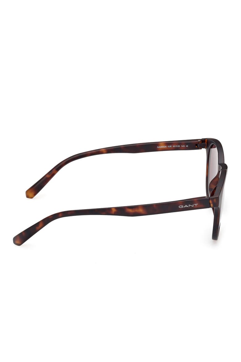 Oval Sunglasses, Alternate, color, DARK HAVANA / BROWN