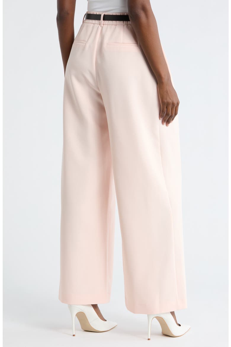 Double Pleat Wide Leg Pants, Alternate, color, PINK SHELL