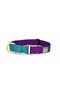  Violet + Teal - L